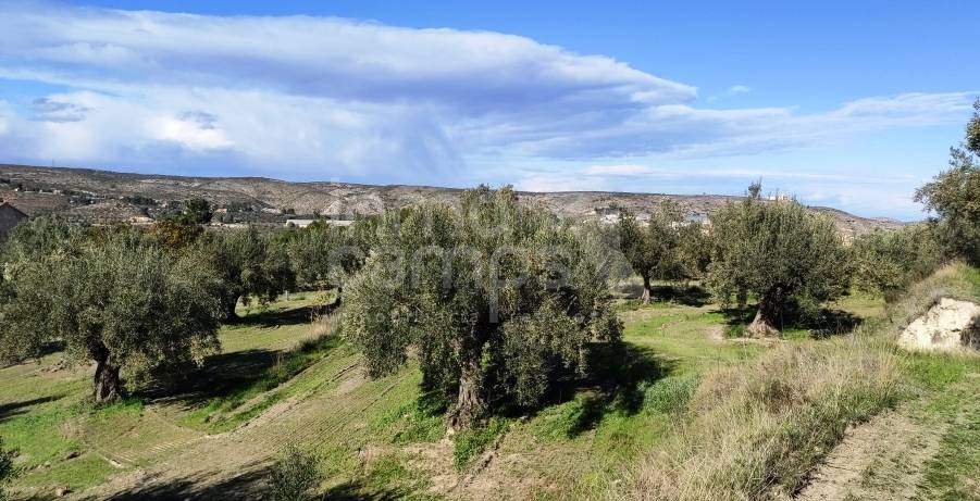 For sale - Finca - Bocairent
