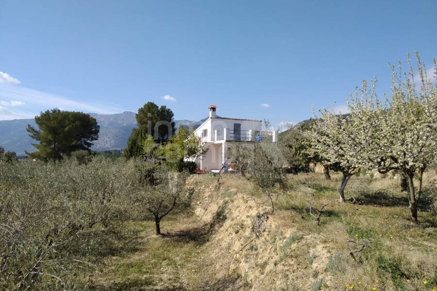 Venta - Casa de Campo - Muro de Alcoy