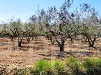 Venta - Casa de Campo - Agullent