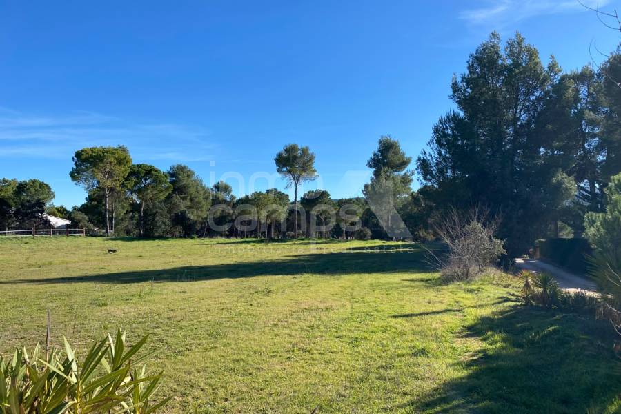 Venta - Finca - Bocairent