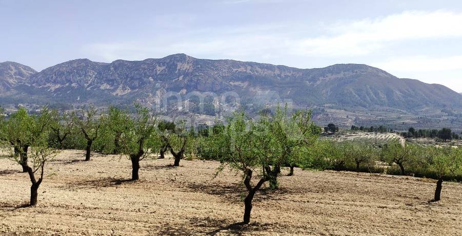 For sale - Villa - Balones