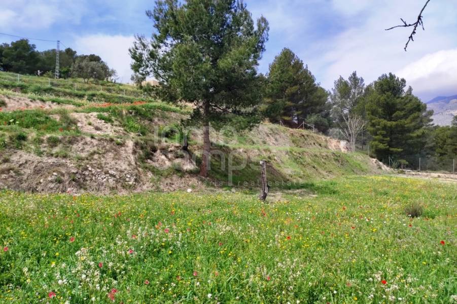 Venta - Finca - Cocentaina