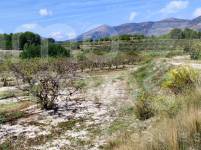 Venta - Finca - Alcocer de Planes