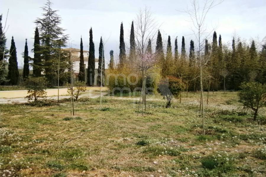 For sale - Country House - Alcocer de Planes