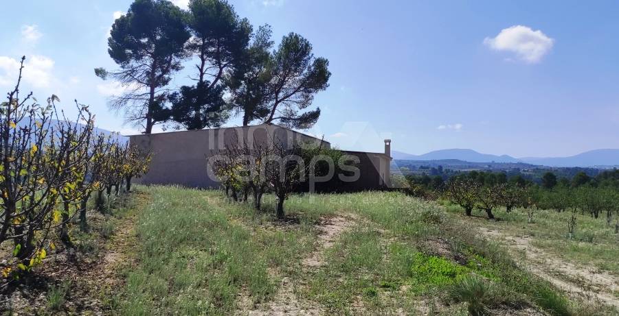 Venta - Finca - Alcocer de Planes