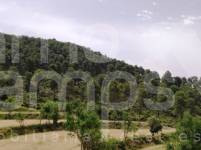 Venta - Finca - Alcoy