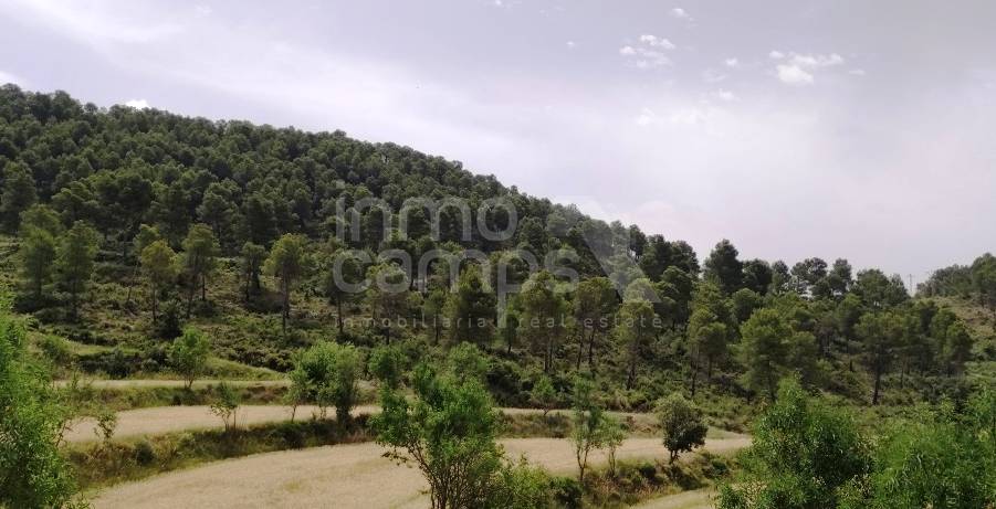 Venta - Finca - Alcoy