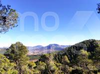 Te koop - Finca - Alcoy