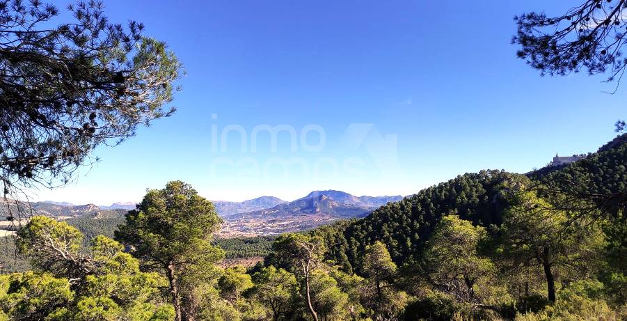 For sale - Finca - Alcoy