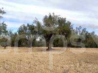 Venta - Parcela Rústica - Penáguila