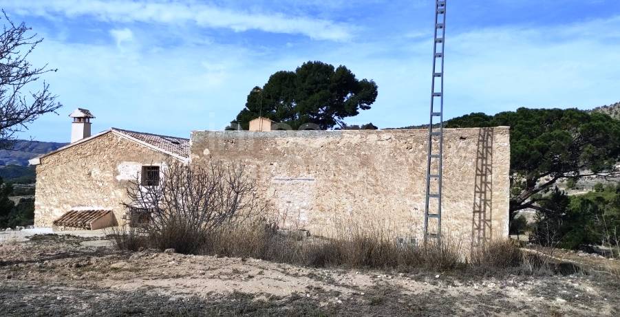 Venta - Finca - Torremanzanas