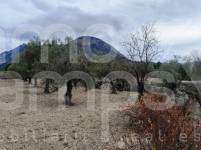 For sale - Rustic Land - Penáguila