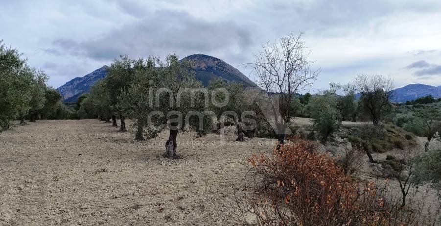 For sale - Rustic Land - Penáguila