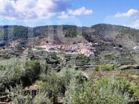 Te koop - Landhuis - Benasau