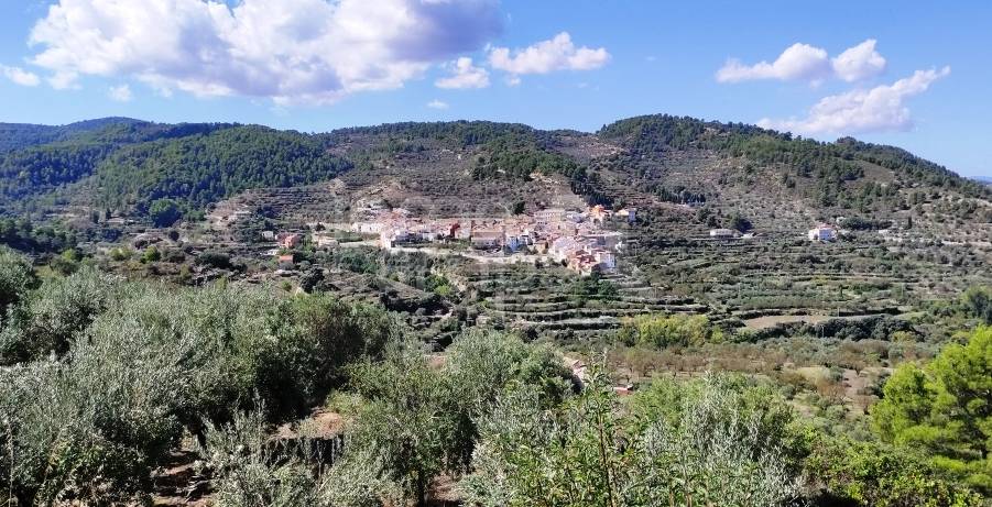 Te koop - Landhuis - Benasau