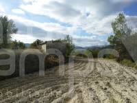 For sale - Rustic Land - Benillup