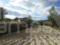 For sale - Rustic Land - Benillup