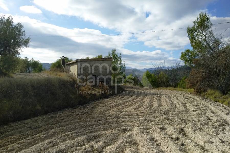 For sale - Rustic Land - Benillup