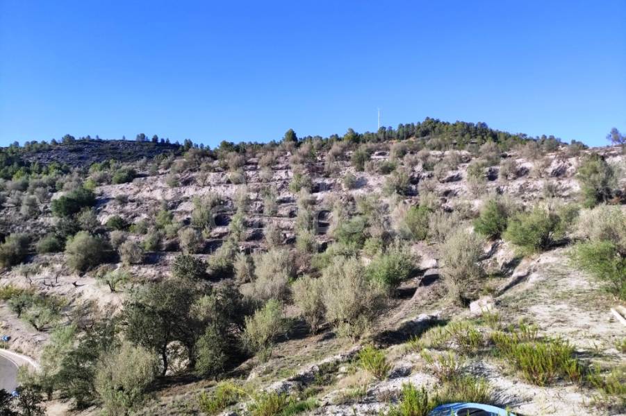 Venta - Casa de Campo - Planes