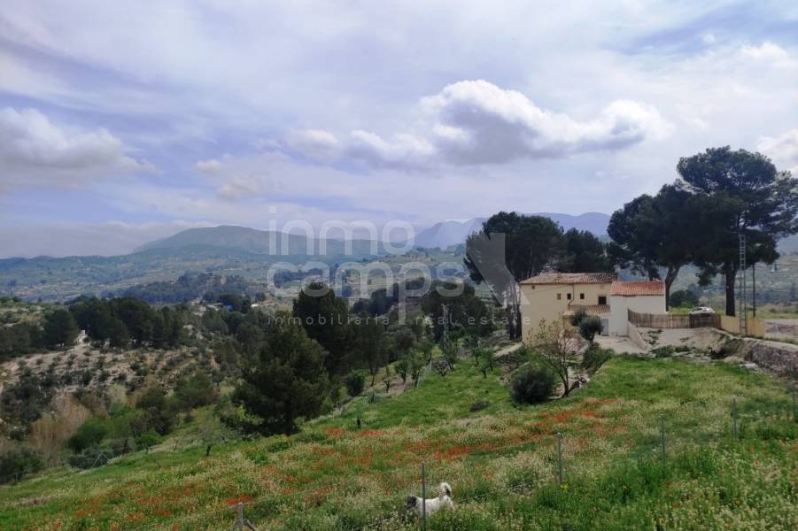 Venta - Finca - Cocentaina