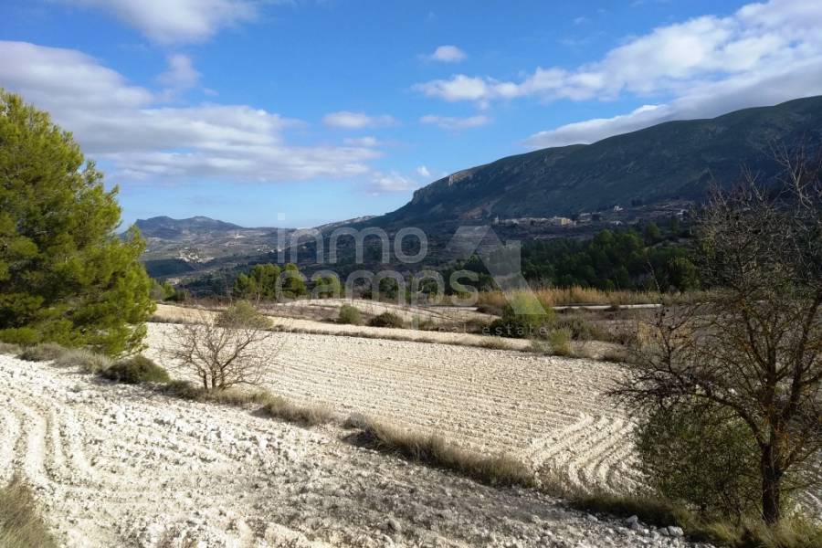 For sale - Rustic Land - Benillup