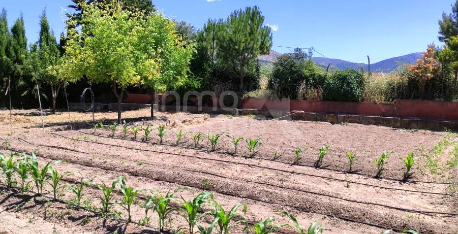 For sale - Country House - Penáguila