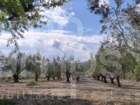 For sale - Country House - Alcoy