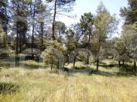 Venta - Finca - Bocairent