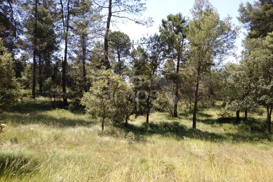 Venta - Finca - Bocairent