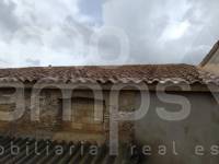 Venta - Finca - Millena