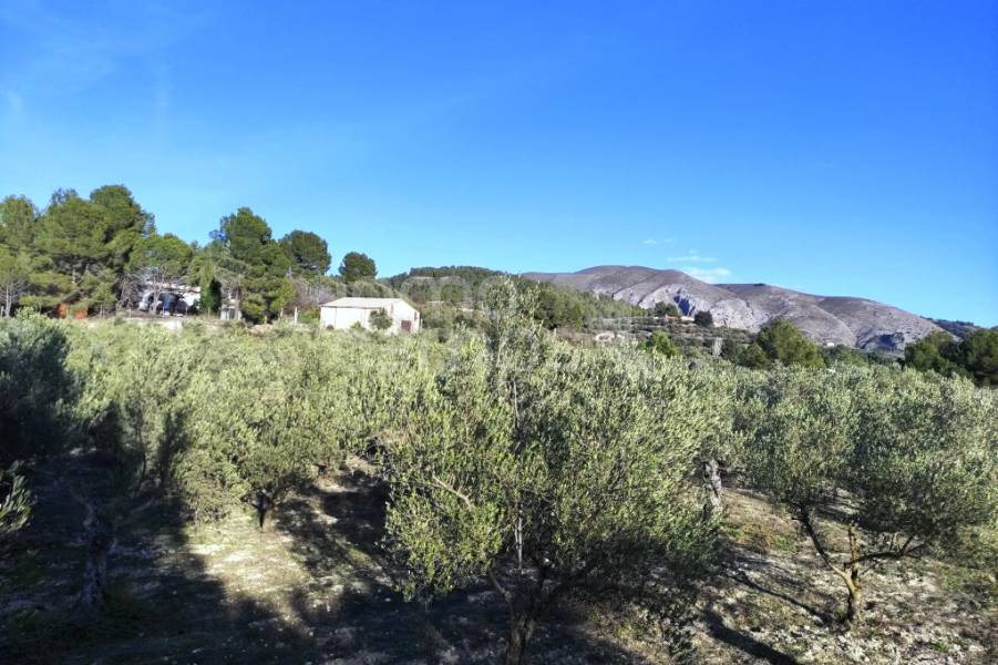 For sale - Country House - Millena