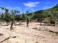 Venta - Casa de Campo - Penáguila