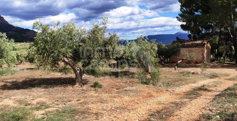 Venta - Casa de Campo - Muro de Alcoy