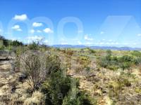 Venta - Casa de Campo - Albaida