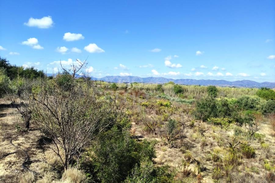 Venta - Casa de Campo - Albaida