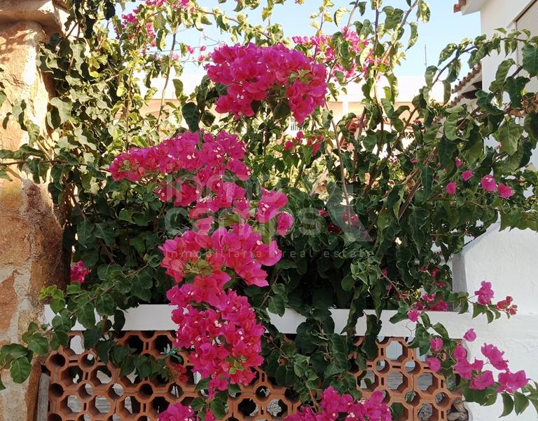 Te koop - Rijtjeshuis - Denia