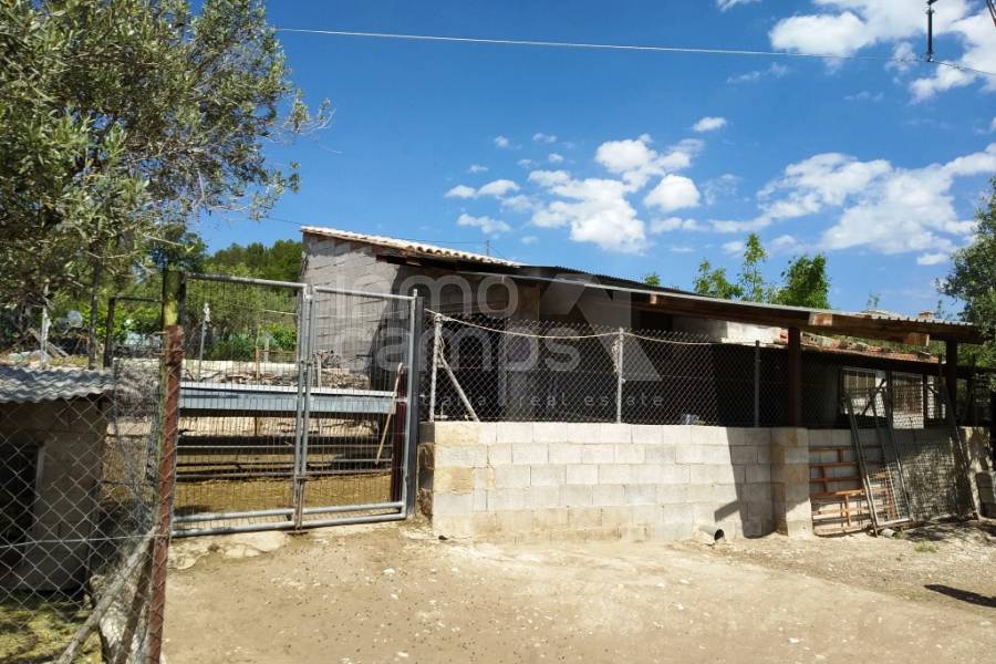 Venta - Finca - Cocentaina