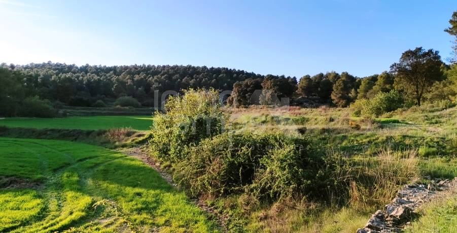 For sale - Finca - Bocairent