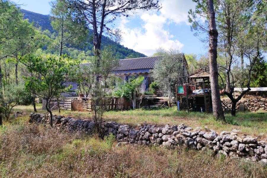 Venta - Casa de Campo - Villalonga