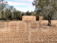 For sale - Rustic Land - Penáguila