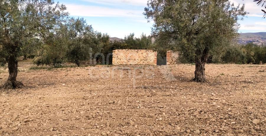 For sale - Rustic Land - Penáguila