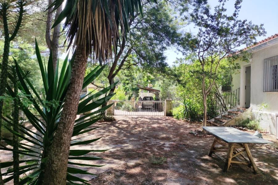 Venta - Casa de Campo - Villalonga