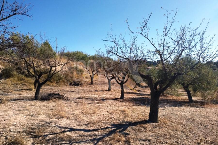 Venta - Casa de Campo - Cocentaina