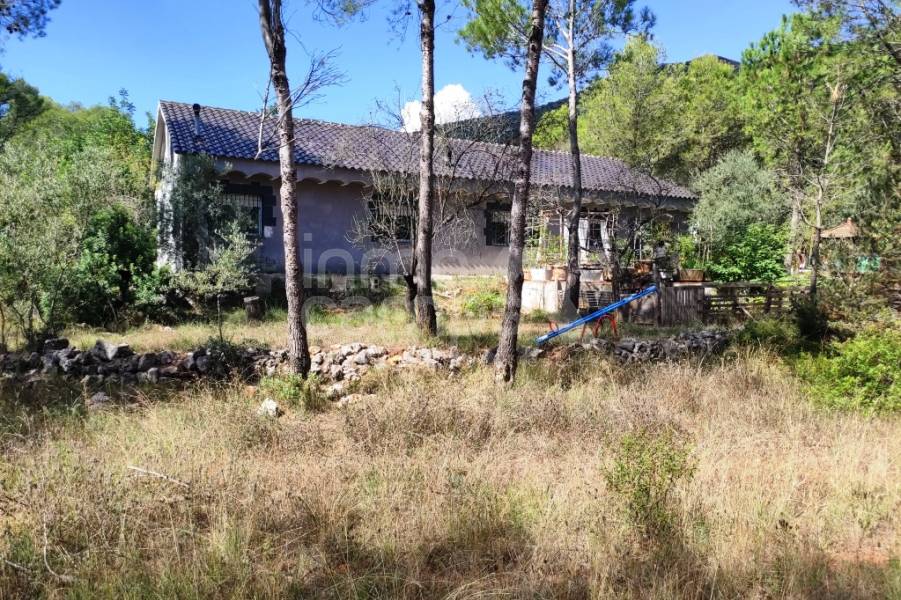 Venta - Casa de Campo - Villalonga