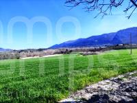 For sale - Finca - Alfafara