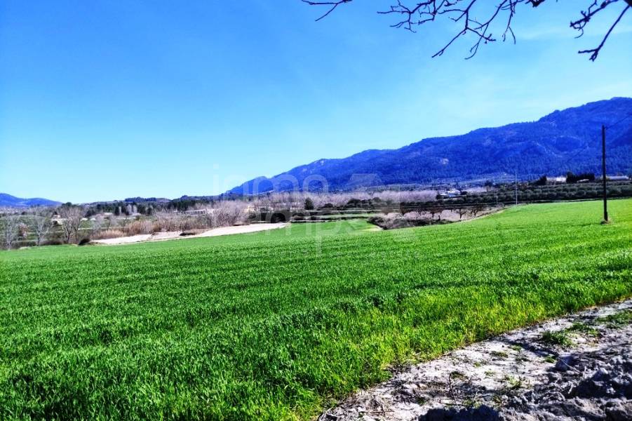 For sale - Finca - Alfafara