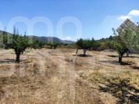 Te koop - Landhuis - Agres