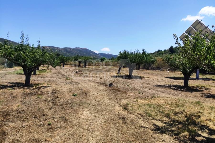 Te koop - Landhuis - Agres