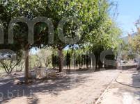 For sale - Country House - Cocentaina