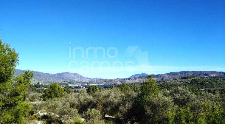 Parcela Rústica - Venta - Benimarfull - Benimarfull